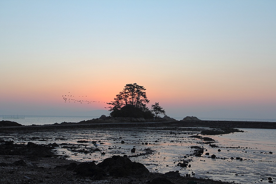 축제자연산석화구이 이미지