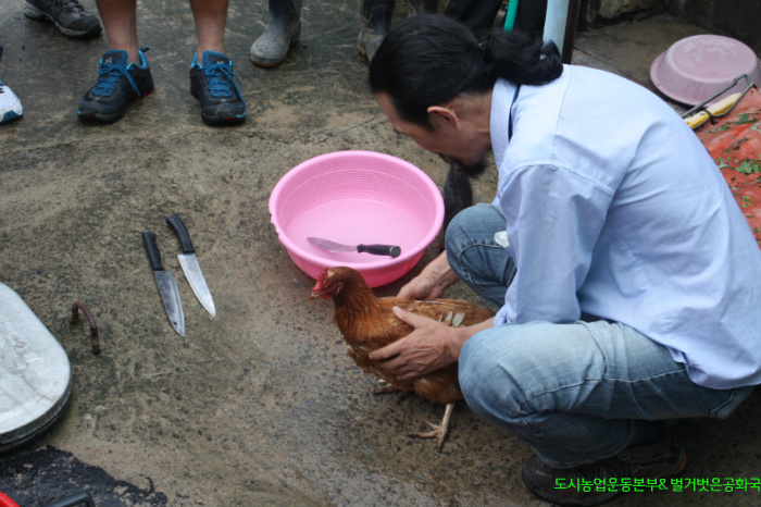 귀농, 도시농부 자연순환유기농업 교육과 윤리 닭 사육, 안전 축산물 생산-1