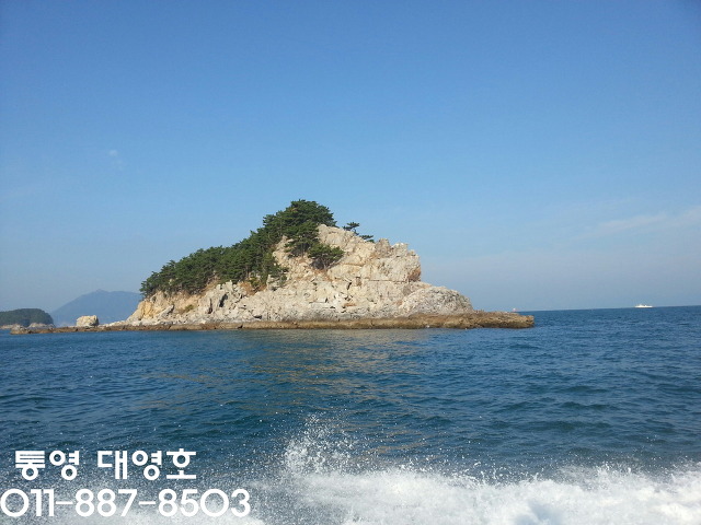 대영호]주말 생활낚시 대박!