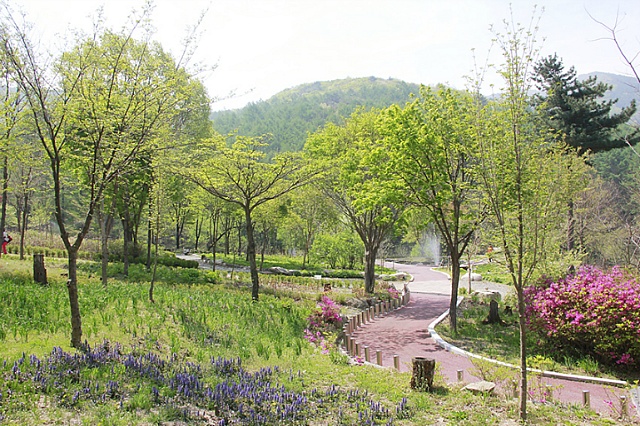 국립유명산자연휴양림 이미지