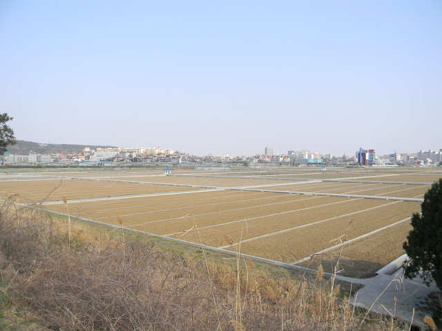서호개발 이미지
