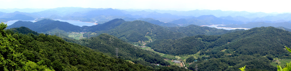 계족산 황톳길과 장태산 메타쉐콰이어 숲에서 힐링을(16.6.25)