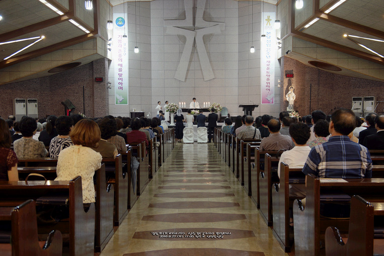 2406CE3D57C3EBDB34A0F0