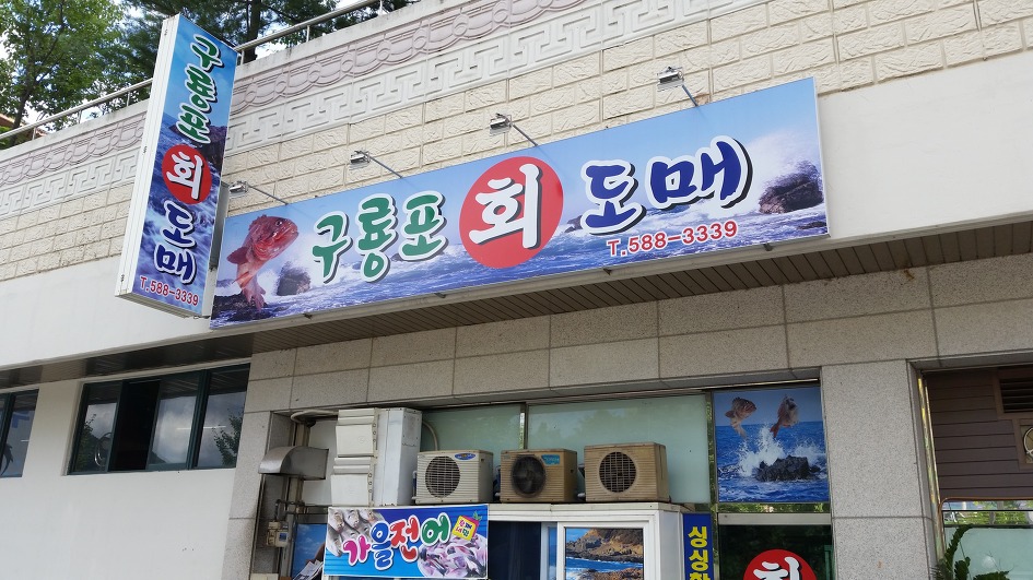 구룡포회도매 이미지