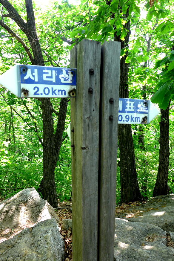 더초록 이미지