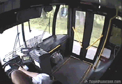 ����Ŭ���� �Ͻø� �̹����� ������ �� �ֽ��ϴ�