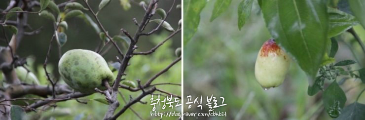 더블클릭을 하시면 이미지를 수정할 수 있습니다