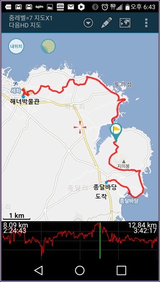 오늘종달 이미지