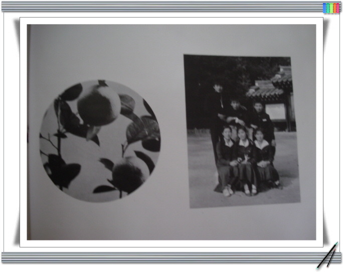 24465433517CE3EC1E28DA