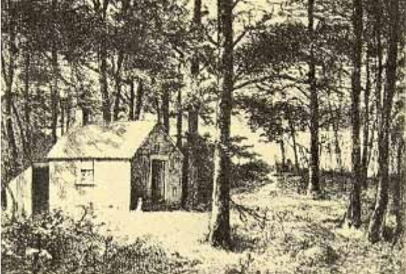 헨리 소로우 에세이집 『월든(Walden)』