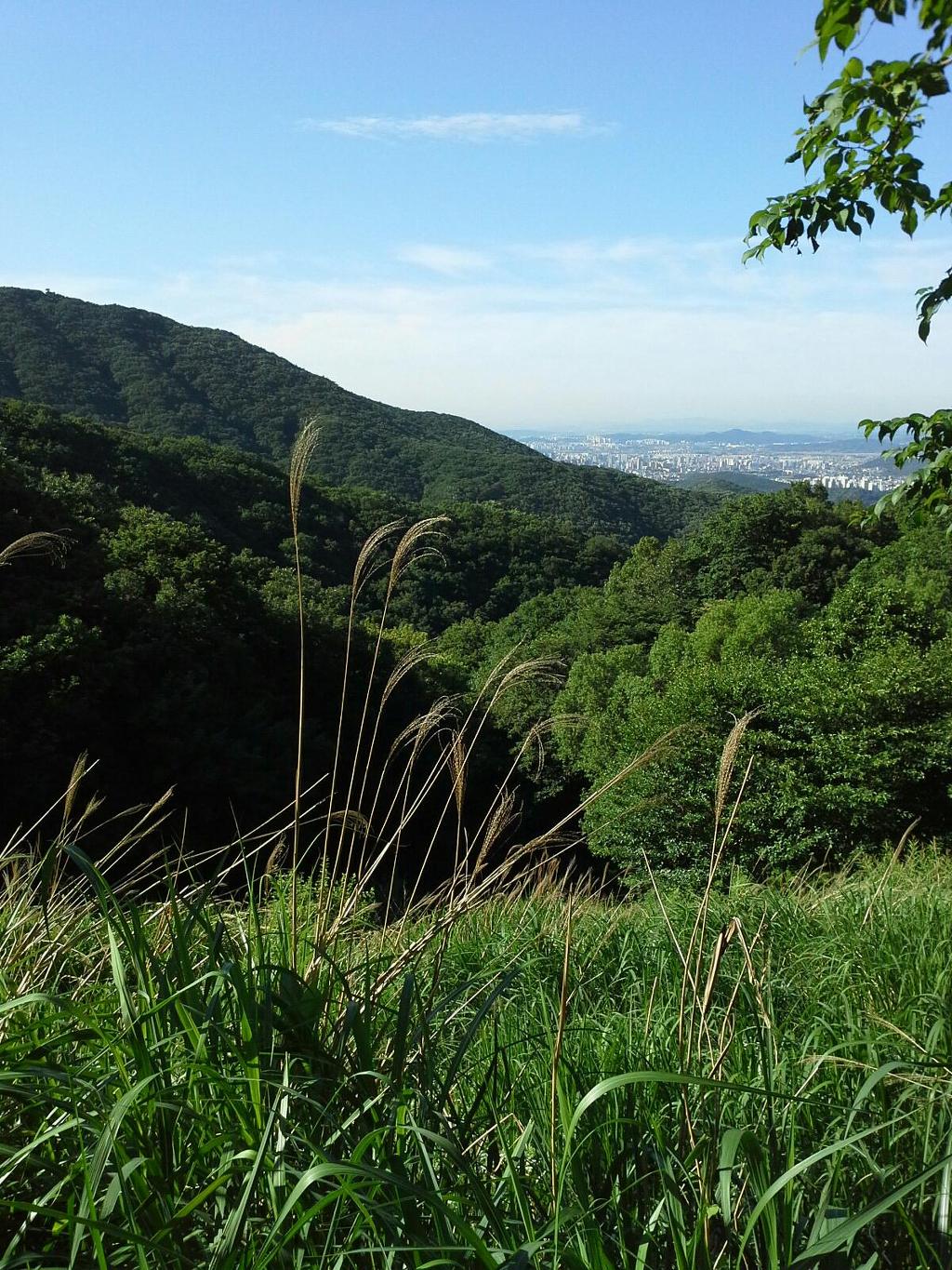 6월27일 로뎀등산 광교산 
