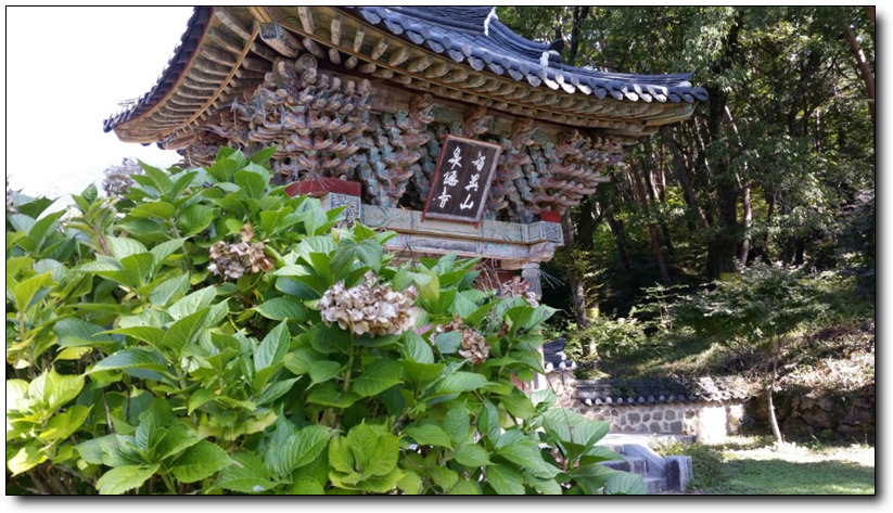 [구례] 가을에는 이보다 더 통속해도 좋다 ＜지리산 천은사＞