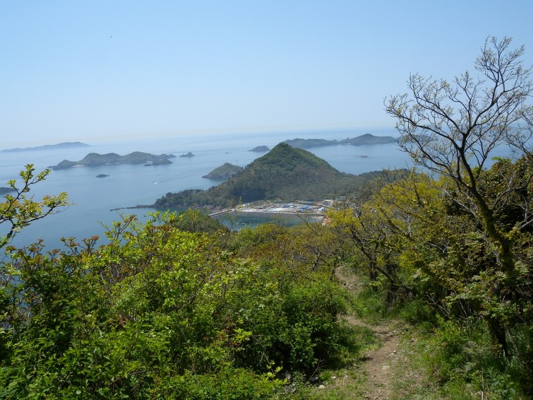 명금농산물 이미지