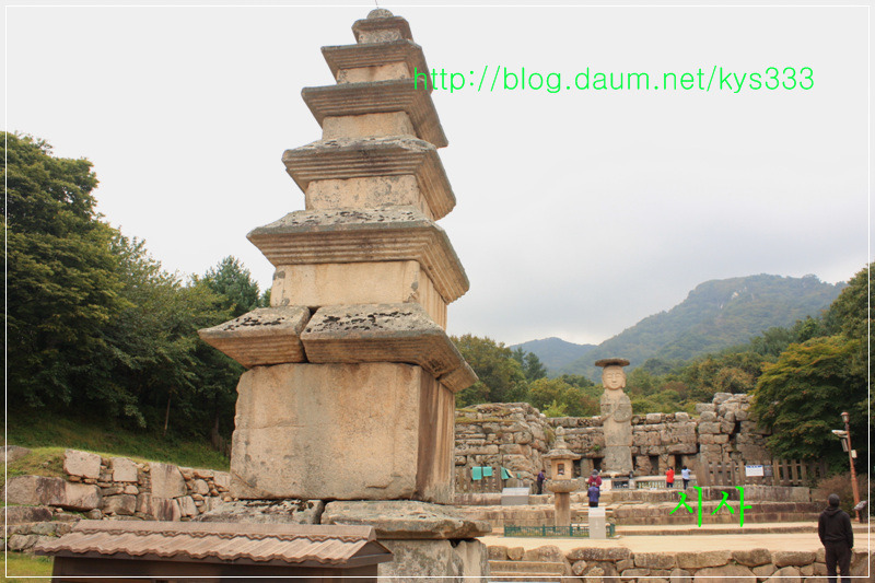 충주 미륵대원지...2014년 10월.
