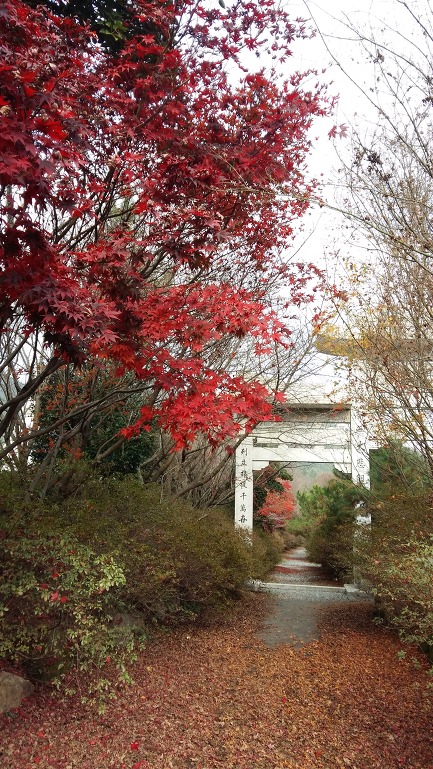 강진 남미륵사