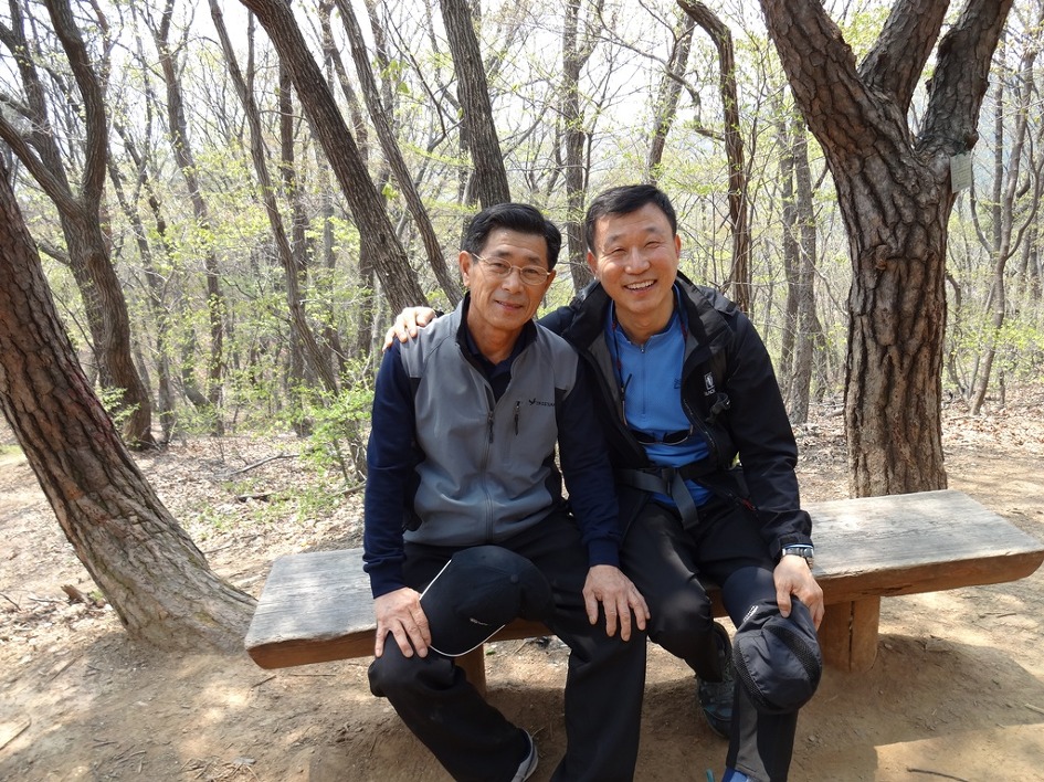 홍도야울지마라 이미지