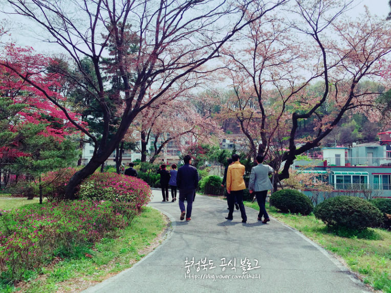 (사진) 충북도청, 충북문화관에 "봄이 왔어요"  