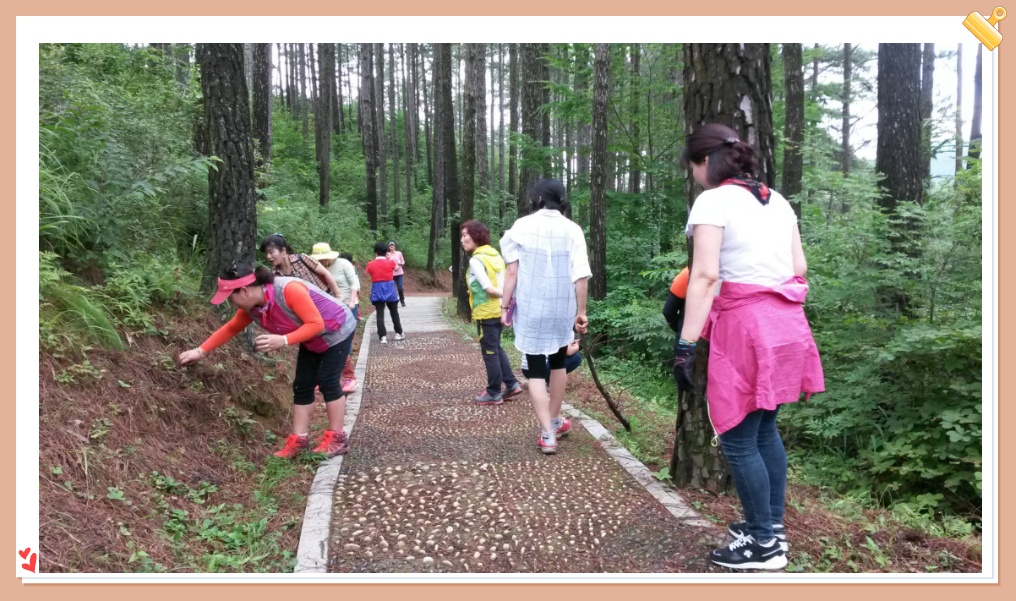광양 백운산자연수양림에서 ...