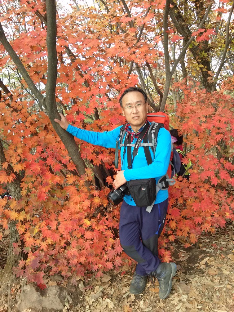이미지