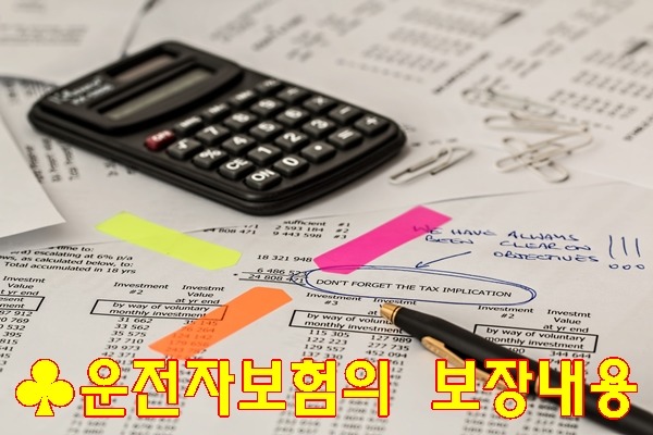 254F844656EE6A0C30F877