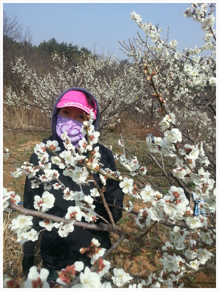 꽃 구경하세요.^&^