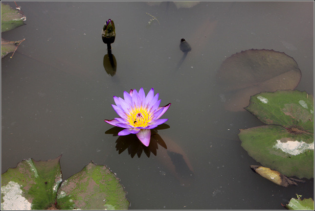 2612C24053B8BC9C2BE1FE