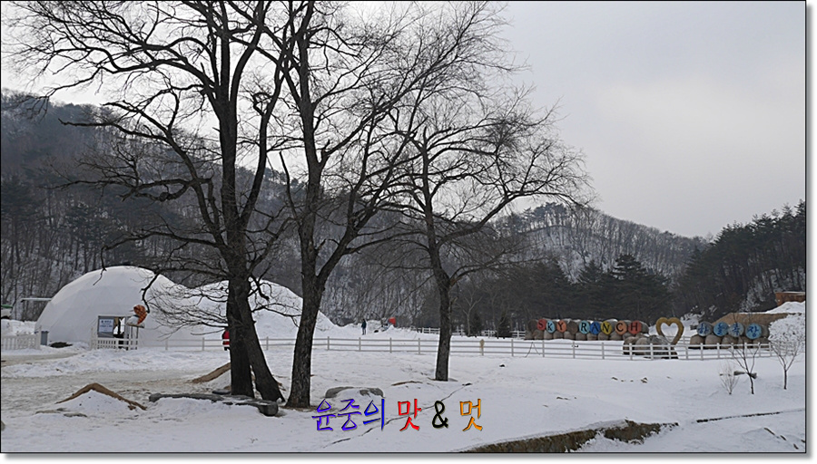 하늘여행사 이미지