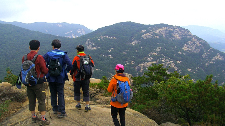 264D0037542BEC620F80FD