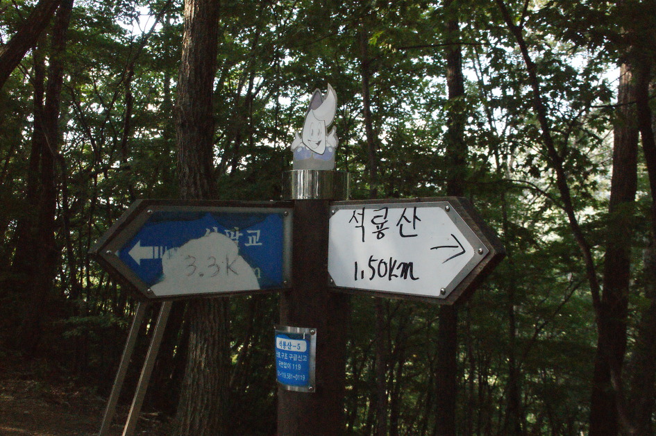 석룡산과 조무락계곡(15. 9.12)에서 숲의 향기를 느끼다.
