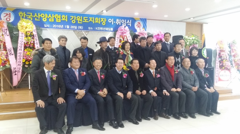 강원산양삼 이미지