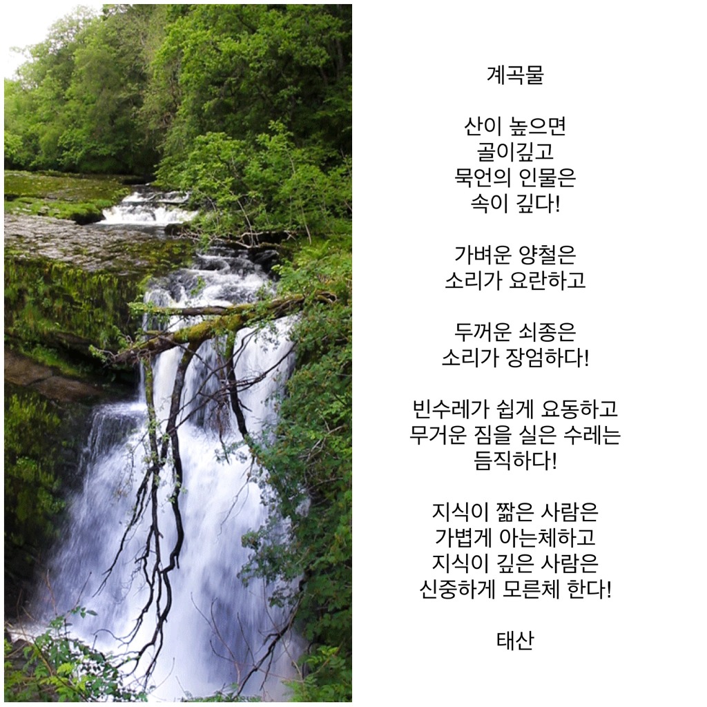 계곡물