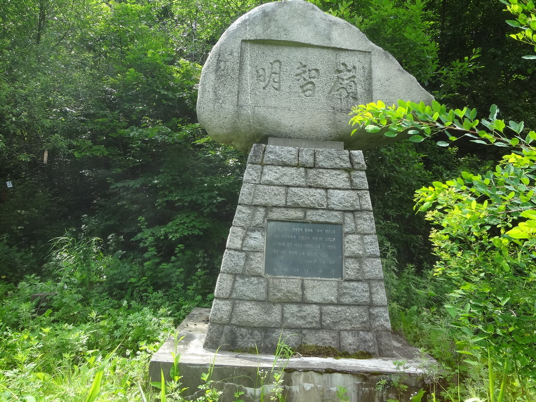 명지현 이미지