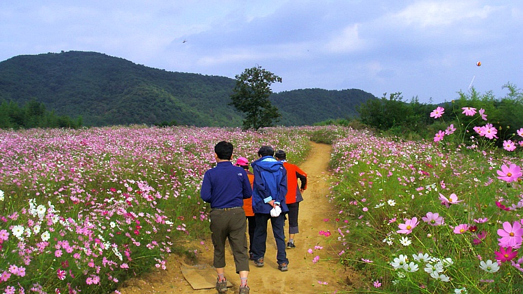 2722F13B542BECF31CB2CD