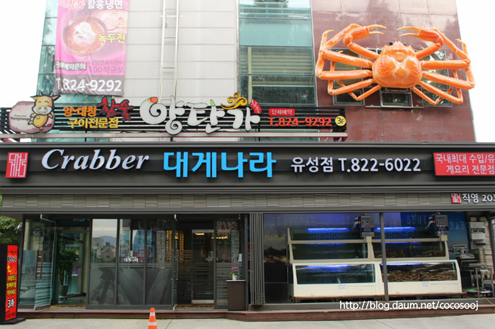 [대전맛집]크래버 대게나라 유성점.