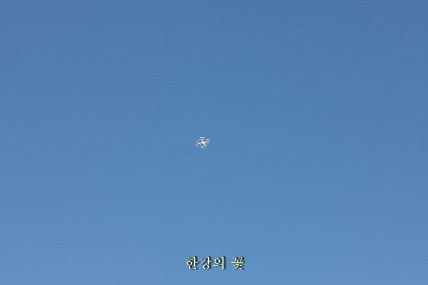 드론(Drone)