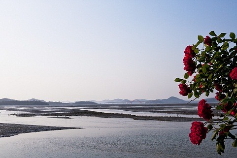 274BB23D538B192F2D94F5