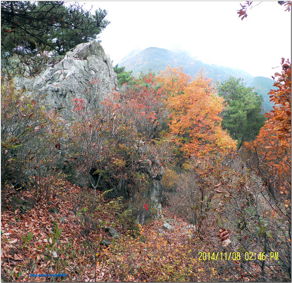 운문지맥3구간(오치령 -백암봉-중산-낙화산-보담산-비학산-정문마을)