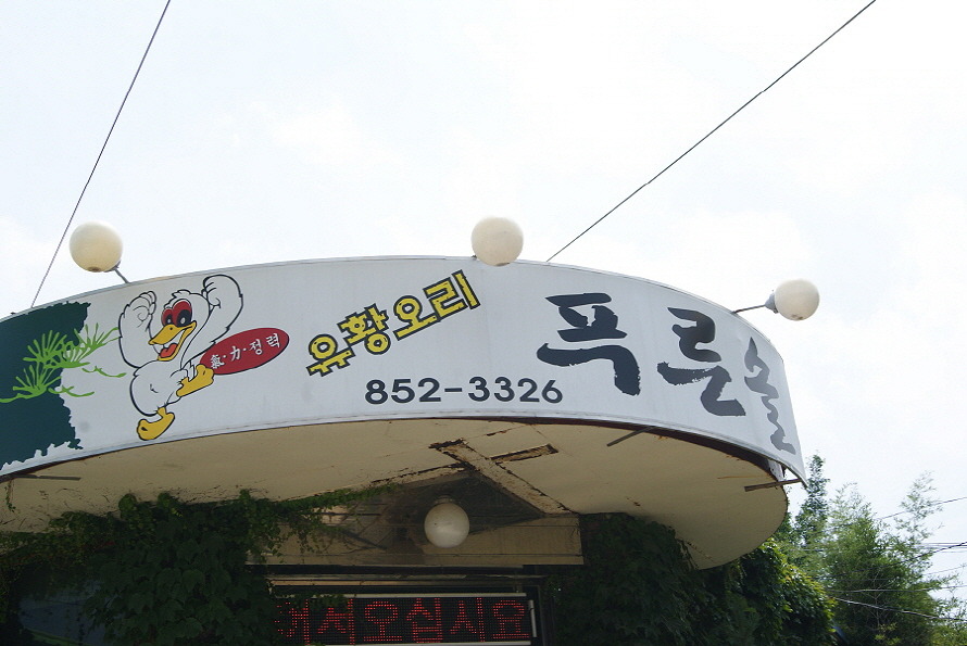 솔가든 이미지