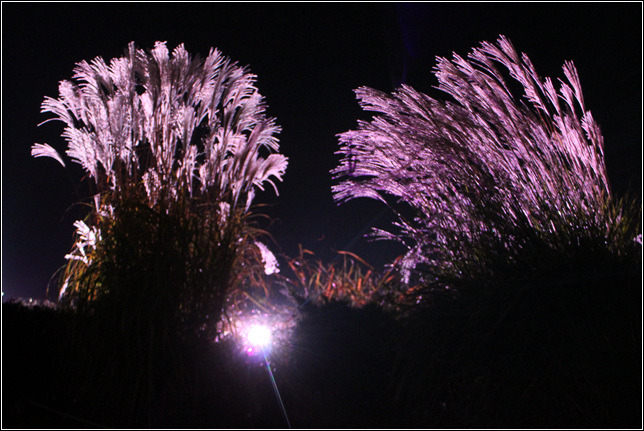 2766294F5447A3D30100BA