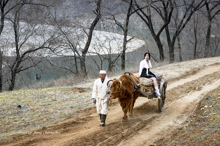 달구지 타고 정선장에 간다