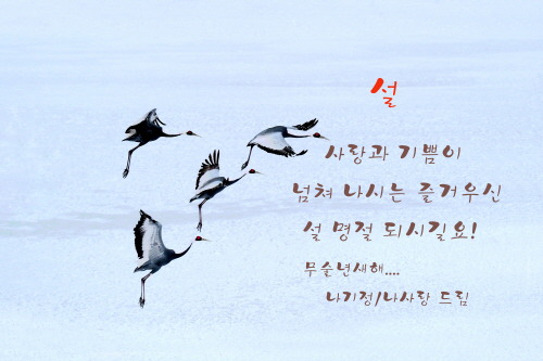 설