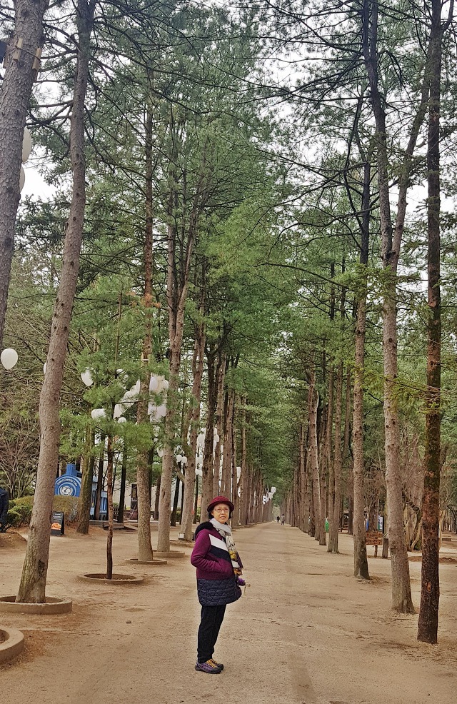 여유투어 이미지