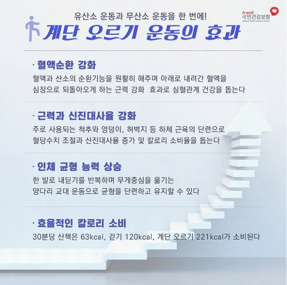 걷기운동의 방법 및 효과!!!