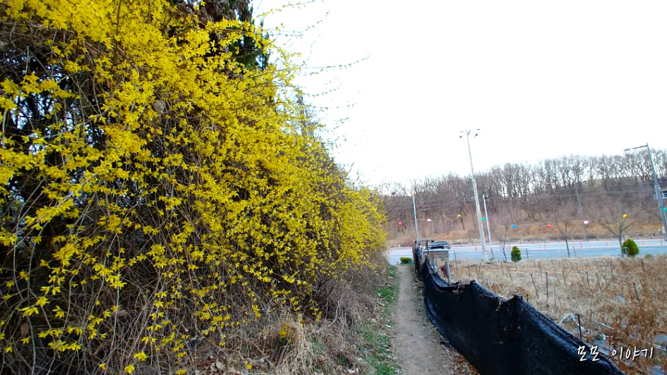 광명알프스-도덕산,구름산,가학산,서독산.