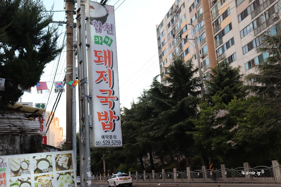 부산 해운대구 원동교부근에서 벚꽃 구경하고 돼지국밥 먹자