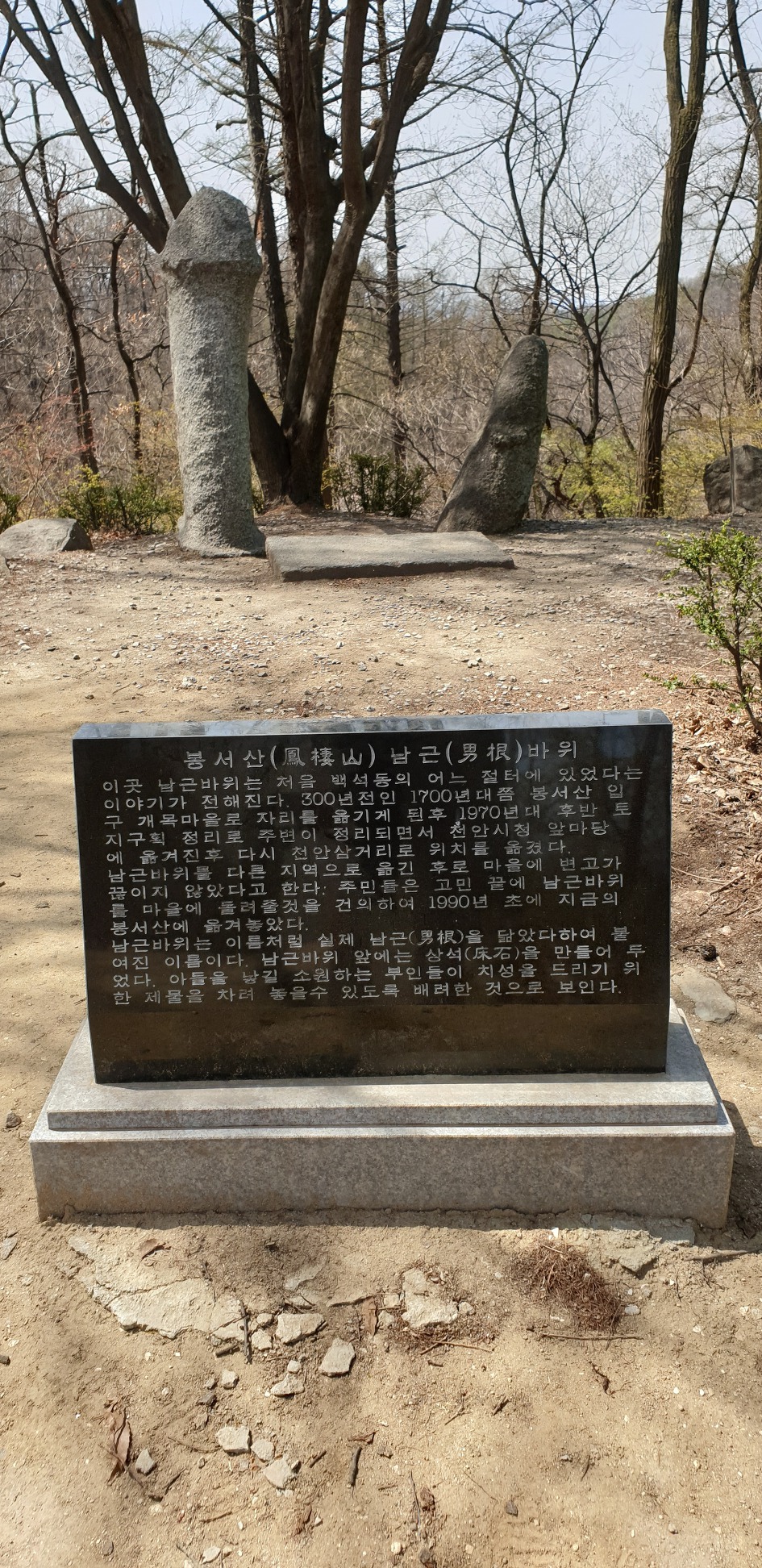 천안 봉서산 구름다리