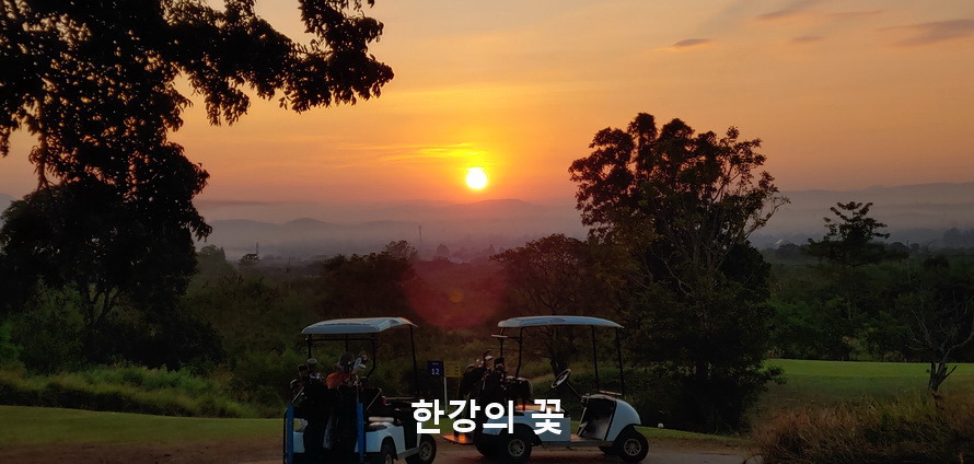팍총의 여명과 알출