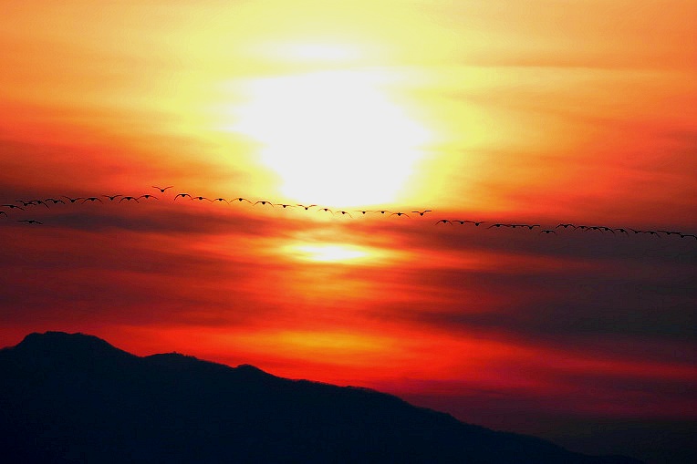 9939BE405DF4F45532616E