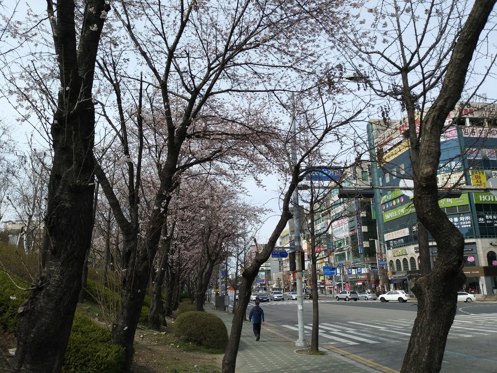 19.4.7(일)