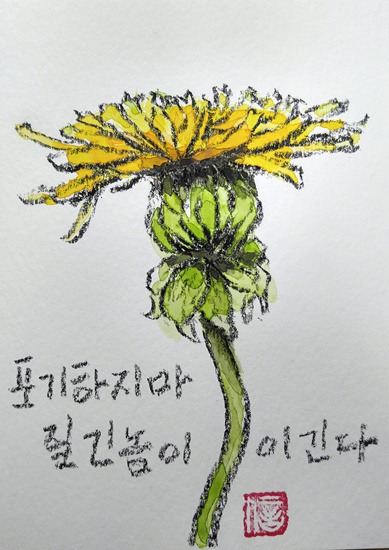 질긴 놈